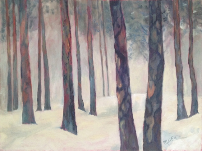 Forêt de pin en hivers